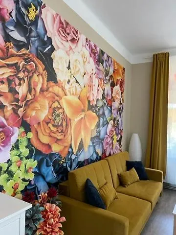 Galerie شقة ديشين