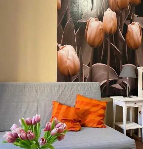 Galerie شقة *