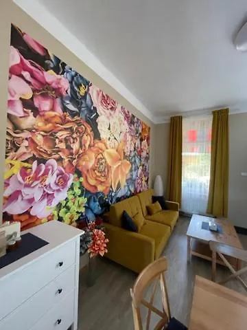 Galerie شقة ديشين